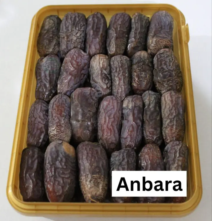 10 best types of dates in saudi arabia life in saudi arabia