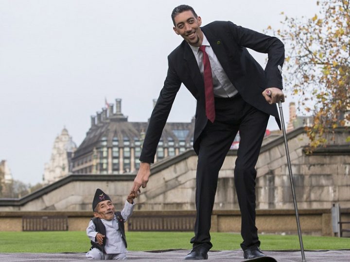 Top 10 Tallest Man In The World