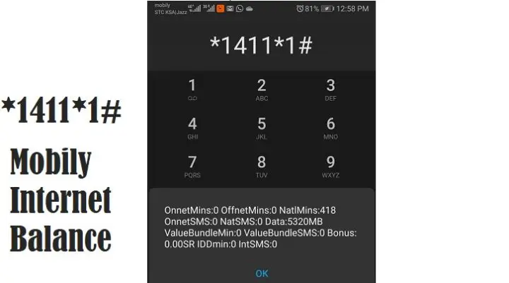 mobily internet balance check