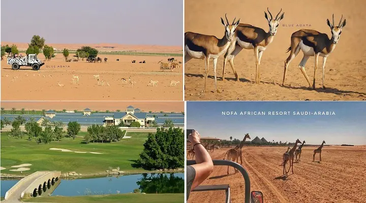 riyadh safari park ticket price 2022