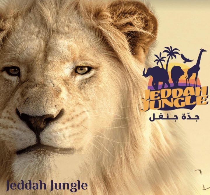 Jeddah Safari