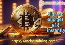 Earn $2,999 a day: How investors can achieve sustained returns through Anchor Mining